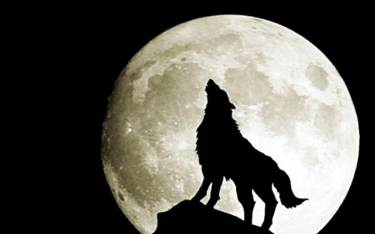 【人狼ゲーム】狂人を引いたらどうするの？役割や立ち回りについて解説